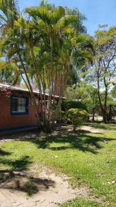 a house with a palm tree in a yard at Casaquinta en Paso con Pileta y Parrilla in Paso de la Patria