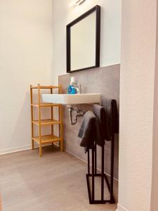 a bathroom with a sink and a mirror at Apartment-am-Burgberg, Harztor in Harztor