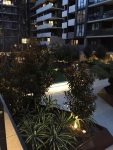 Κήπος έξω από το Mulberry Life Apartments