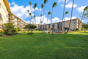WailukuにあるKanai A Nalu 211 · KAN 211 Remodeled OceanFront 2BD for Whale Waのヤシの木が立ち並ぶ大庭