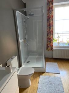 Pont-à-CellesにあるLe pigeonnier des voyageurs Le pigeonnier des voyageurs aéroport Charleroiのバスルーム(シャワー、トイレ付)、窓が備わります。