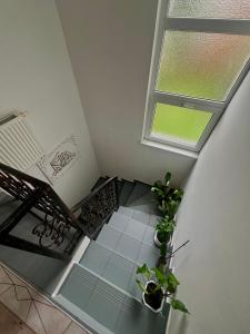 Foto dalla galleria di Vila Nedim a Svrake