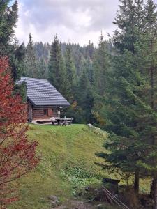 Příroda nedaleko apartmánu