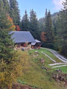 Příroda nedaleko apartmánu