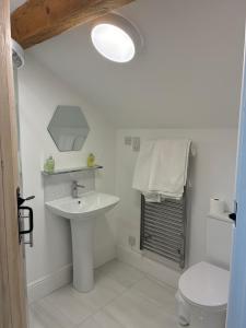 a bathroom with a sink and a toilet at Swallows Nest in Shrewsbury +15 photos