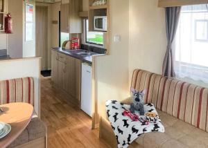 WinthorpeにあるThe Chase Holiday Parkの台所のソファに座る犬 +6枚の写真