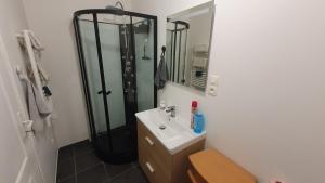 Un baño con ducha, lavabo y espejo. en T1 maisonnette, charme et confort, en Bouliac 5 fotos más