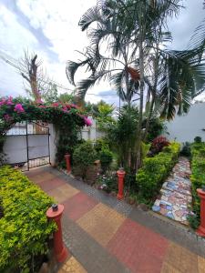 Zahrada ubytování Nasmat Resort