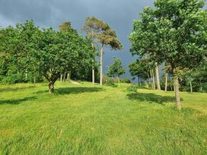 a field of grass with trees in the background at 8 person holiday home in Skals in Skals