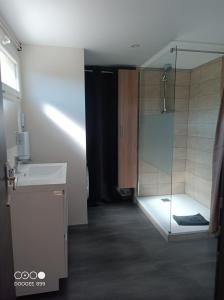 a bathroom with a glass shower and a sink at Aux pieds de la colline de Mousson in Pont-à-Mousson +18 photos