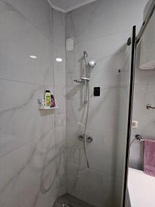 Un baño con ducha con puerta de cristal. en Mostar Luxury Apartment, en Mostar