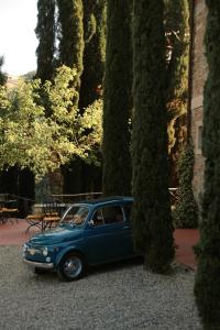 グレーヴェ・イン・キアンティにあるTerre di Baccioの木々の隣に駐車された小さな青い車