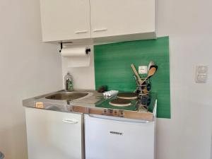 ゲラスドルフ・バイ・ウィーンにあるGER Studio Apartment with Free Parkingの小さなキッチン(コンロ、シンク付)