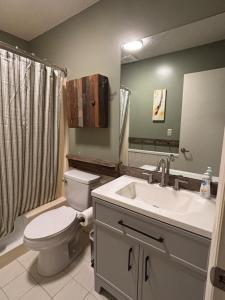 a bathroom with a toilet and a sink and a mirror at Quiet and secluded home close to TIEC in Columbus +22 photos