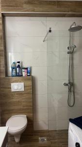 a bathroom with a toilet and a glass shower at DreamerLux in Loznica