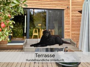 a black dog laying on a bench in front of a house at TinyHousebeiDresden unser größtes winziges Häuschen für bis zu 7 Personen, Kaminofen, große Terrasse - Nähe Sächsische Schweiz - Von Juni - September Mindestmietzeit 1 Woche Sa-Sa in Großharthau +38 photos