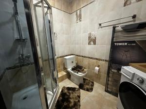 La salle de bains est pourvue de toilettes avec un chat dormant sur le siège. dans l'établissement Luxury Apartments, à Douchanbé