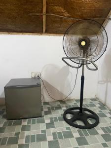 Fotografie z fotogalerie ubytování Olga Beach Nungwi v destinaci Nungwi