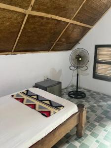 Fotografie z fotogalerie ubytování Olga Beach Nungwi v destinaci Nungwi