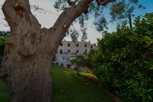 Giardino di Hotel Castel Miramonti