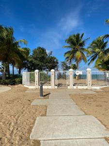 Pláž u apartmánu + 7 fotografií