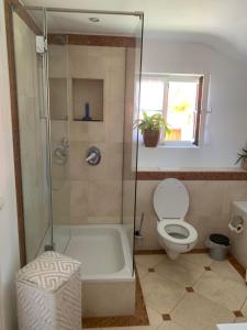 ein Badezimmer mit einer Dusche, einem WC und einer Badewanne in der Unterkunft SeelenbaumlerIn in Schliersee
