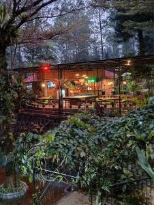 Κήπος έξω από το The Pinewood Lodge and Organic Farm