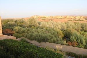 a view from the roof of a house with trees at dar olivegarden inn in Ait Sedrate Sahl Gharbia