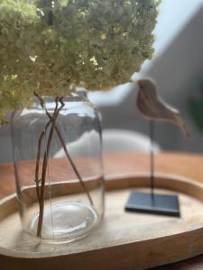 バート・シャラーバッハにあるAll Homes Apartmentsの花瓶