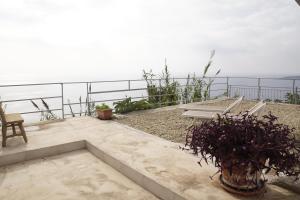 Φυσικό τοπίο κοντά σε αυτό το διαμέρισμα +98 φωτογραφίες