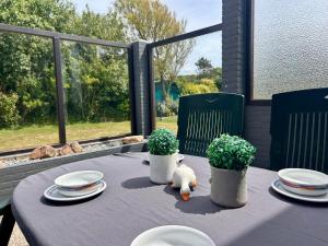 Κήπος έξω από το Bungalow Zonnedael