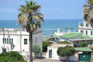 ein Haus mit einer Palme vor dem Meer in der Unterkunft Albergo Villa Marina in Anzio
