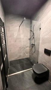 a bathroom with a glass shower with a toilet at Villa Olea in Tihany