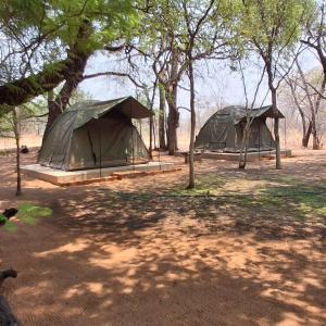 dos tiendas de campaña en medio de un campo con árboles en Maguni Campsite, en Mupapama