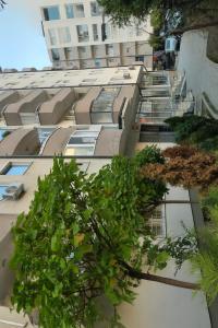a tree on the side of a building at Appartment in the center of town Fushe Kosova in Kosovo in Kosovo Polje