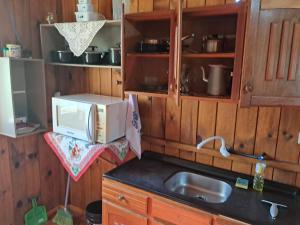 a kitchen with a microwave and a sink at Casa Pessegueiro in Urubici