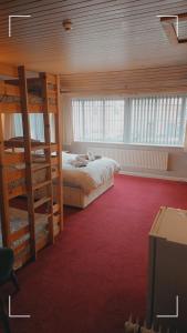 a bedroom with two bunk beds and a red carpet at The Horse and Groom Guest House in Swaffham