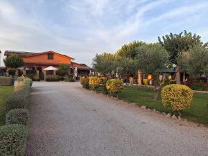 a driveway leading to a house with trees and bushes at Agriturismo La Sosta in Pescia Romana
