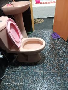 a bathroom with a pink toilet and a sink at Ella Cool Air Cabana in Ella +28 photos