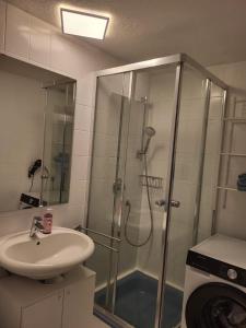 a bathroom with a shower with a sink and a shower at Apartment HESS in Rust