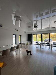 un chien qui se promène dans une pièce avec des tables et des chaises dans l'établissement Osada Osterberg - Miejsce z Misją, à Wambierzyce