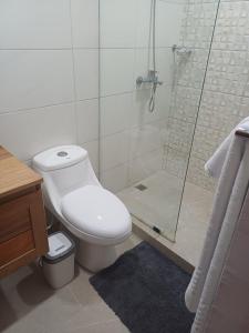 a bathroom with a toilet and a glass shower at Sunset Apartment Beach Residences Steps from the Beach in Puerto Plata +13 photos