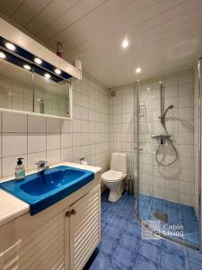 a bathroom with a blue sink and a toilet at Spacious cabin in Hemsedal with sauna, near slopes in Hemsedal +15 photos