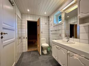 ヘムセダールにあるSpacious cabin in Hemsedal with sauna, near slopesのトイレと洗面台付きのバスルーム +21枚の写真