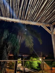 - une vue sur un palmier la nuit dans l'établissement Departamento Amplio a cercanías del Rio, à Posadas