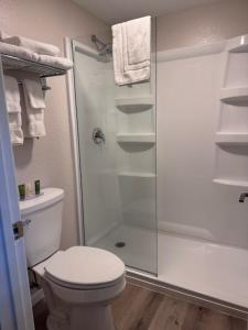 a bathroom with a toilet and a glass shower at The Lake Huron Resort in Oscoda