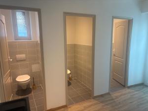 a bathroom with a toilet and a shower at Chez antho chambres et table d hôtes in Betton-Bettonet