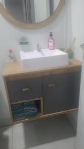 a bathroom vanity with a sink and a mirror at Kitnet Container - Prática e aconchegante in Brotas +12 photos