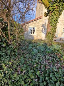 Gallery image of Cozy small house in Le Chalard