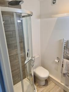 Le ChalardにあるCozy small houseのトイレとシャワー付きのバスルーム